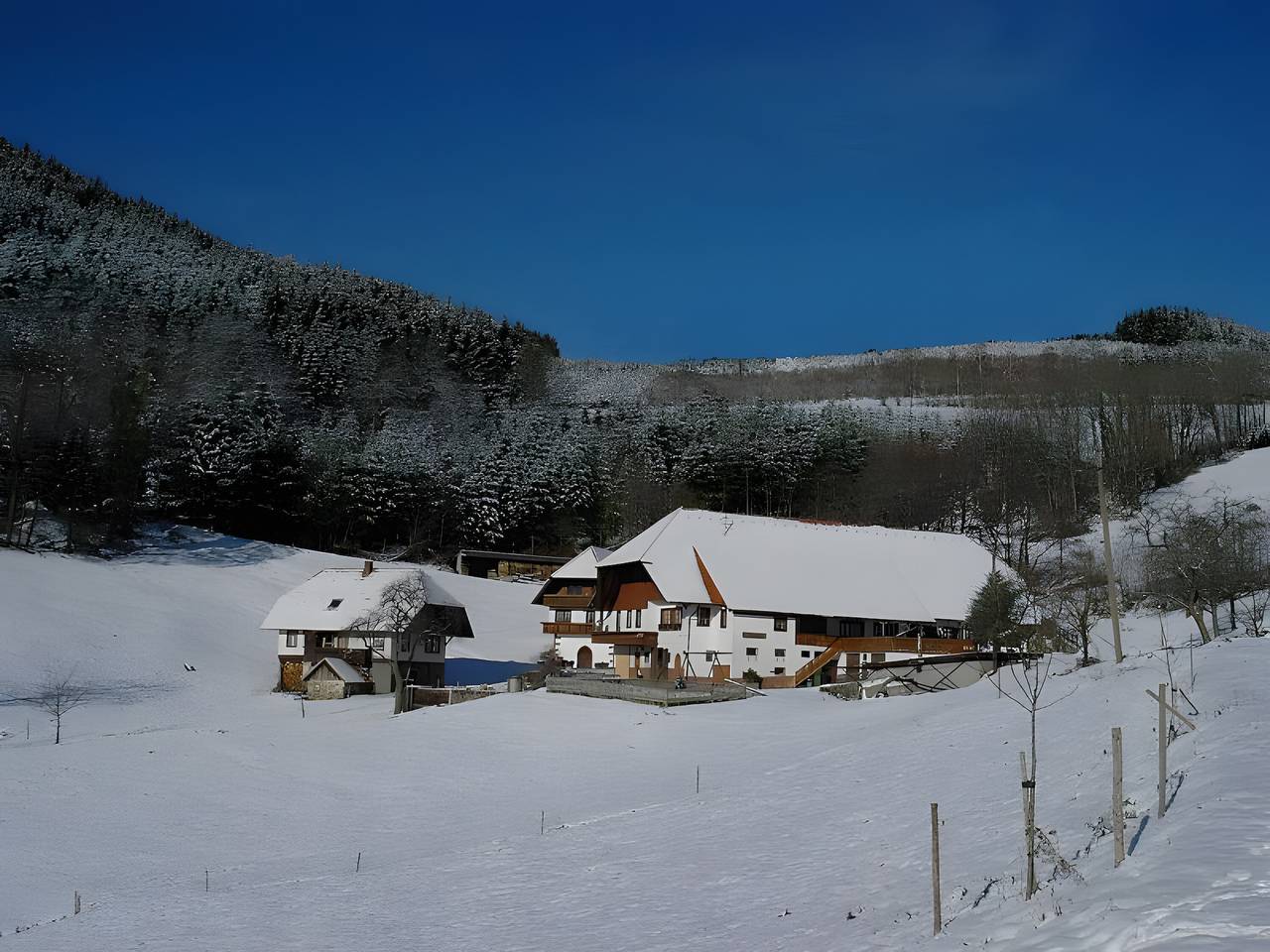 Apartamento vacacional entero, Uhlhof - Ferienwohnung Nr 2 in Hausach, Selva Negra Central