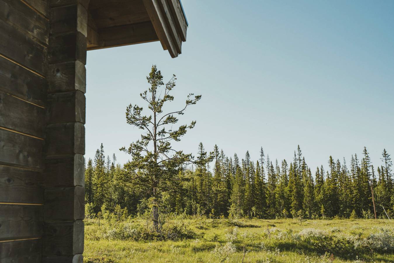 Se21005 in Trillevallen, Jämtland