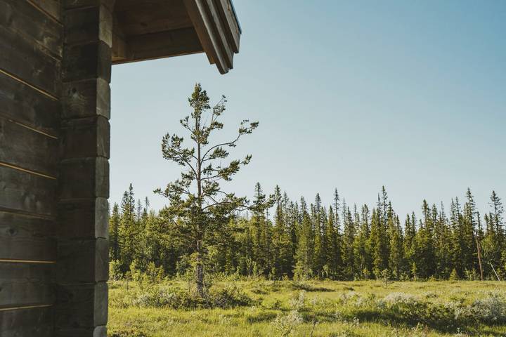 Se21005 in Trillevallen, Jämtland