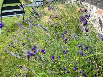 Gîte pour 2 Personnes dans Jouy-le-Potier, Région d'Orléans, Photo 4