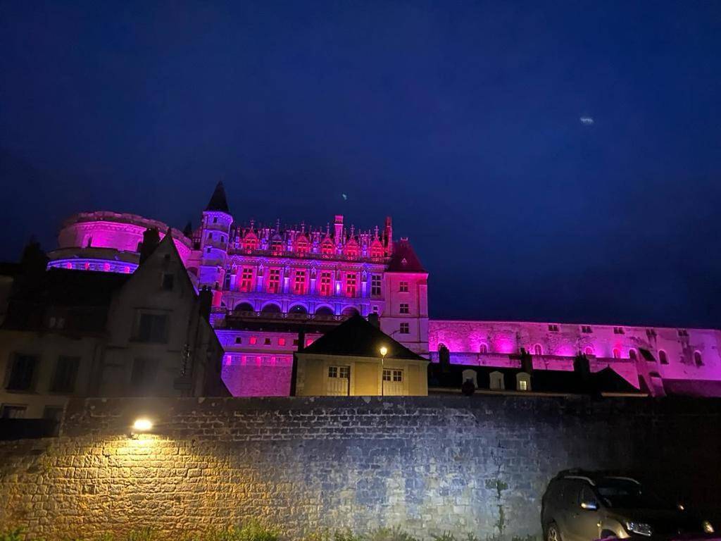 Appartement entier, Balnéo - Les Pieds dans le Château in Amboise, Région de Tours