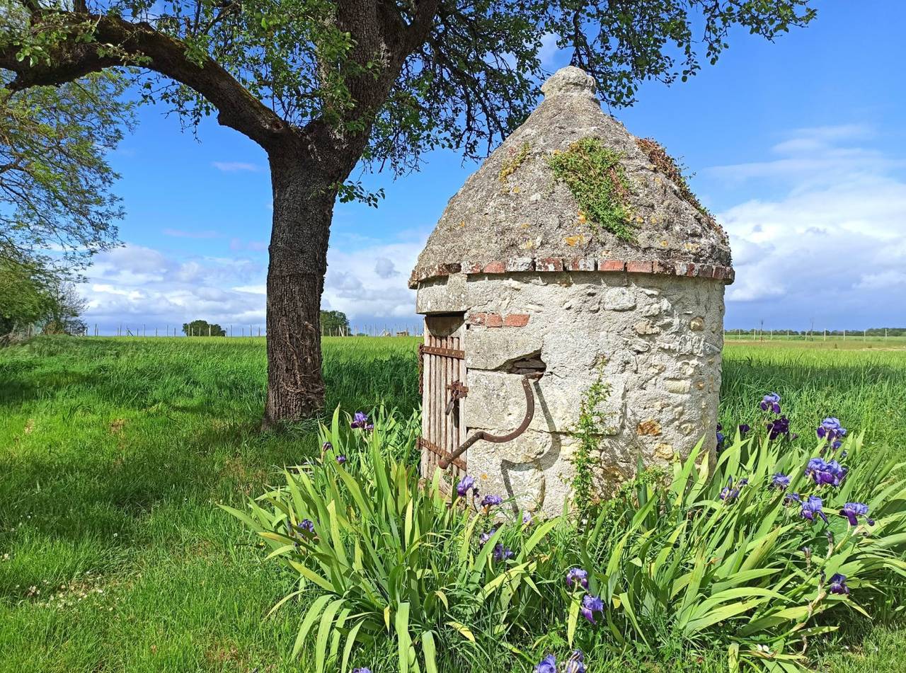 Chambres d'hôtes Le puits du Bréneau - Chambre Liberté in Orbigny, Région de Loches