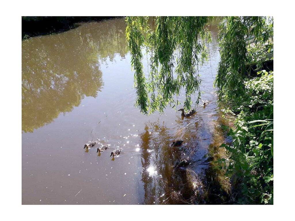 Uitzicht op kasteel Eichstätt in Eichstätt, Altmühltal