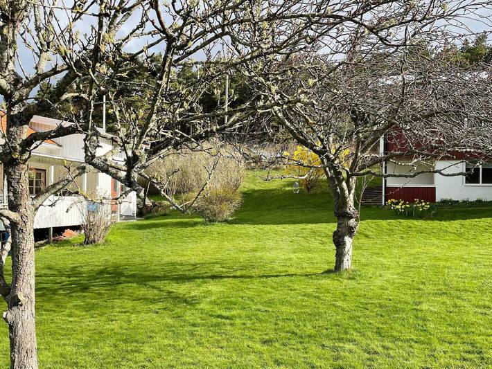 Ferienhaus für 4 Personen, kinderfreundlich in Bohuslän - 3