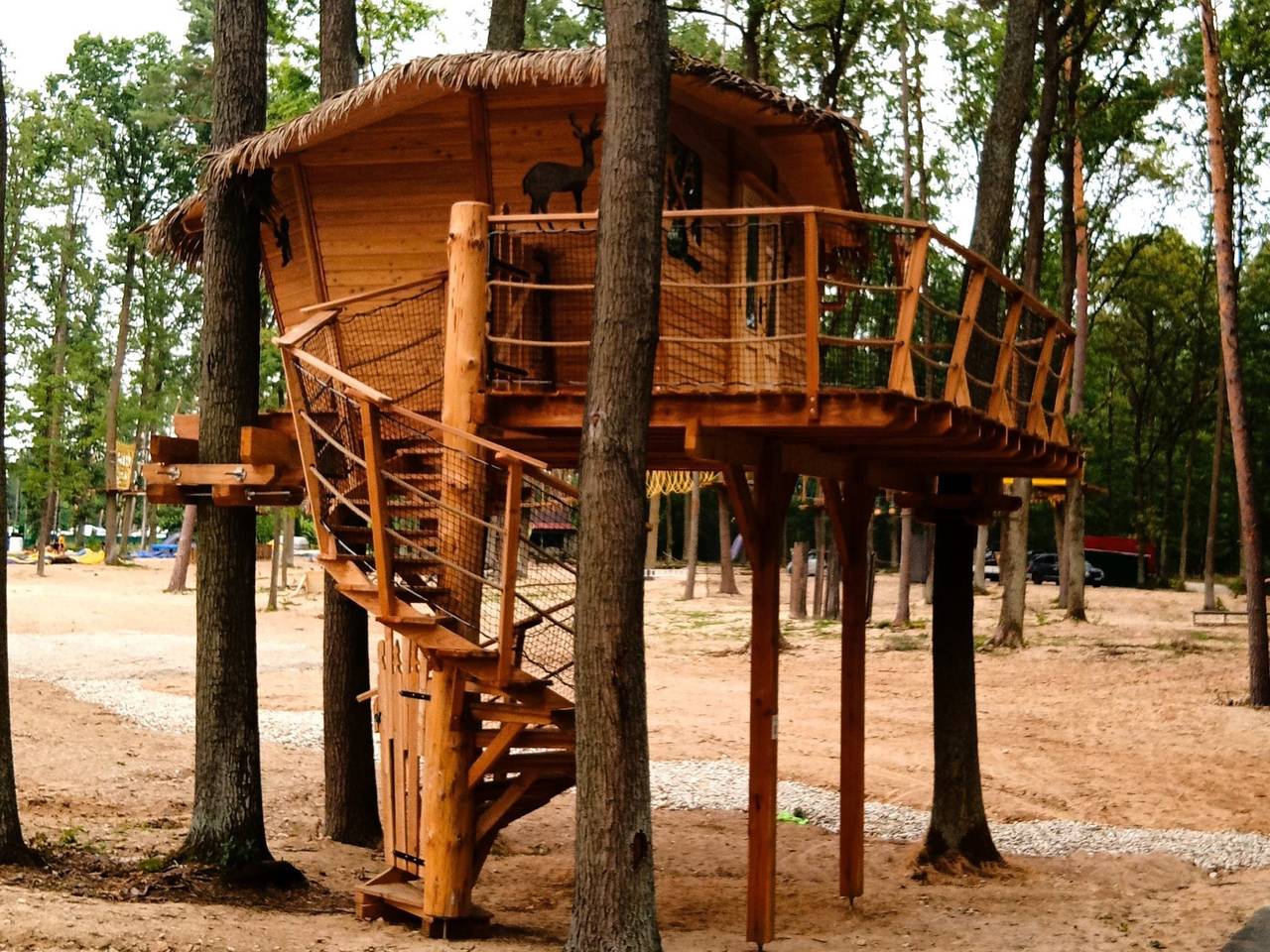 Treehouse 1 in Hradec Kralove, Hradec Králové Região