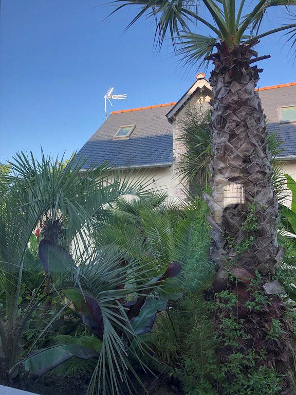 Gîte pour 4 personnes, avec jardin en Ille-et-Vilaine - 2