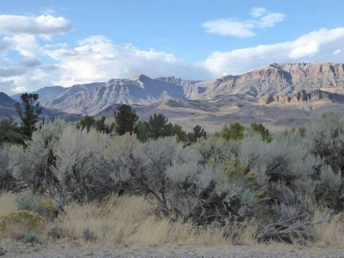 Location de vacances pour 7 personnes, avec terrasse, animaux acceptés à Wapiti - 3