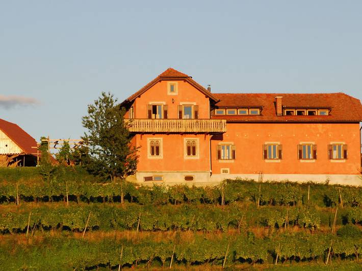 Für 8 Personen  + 4 Kinder ca. 200 m² in Ptuj, Untersteiermark (Drau Slowe in Untersteiermark