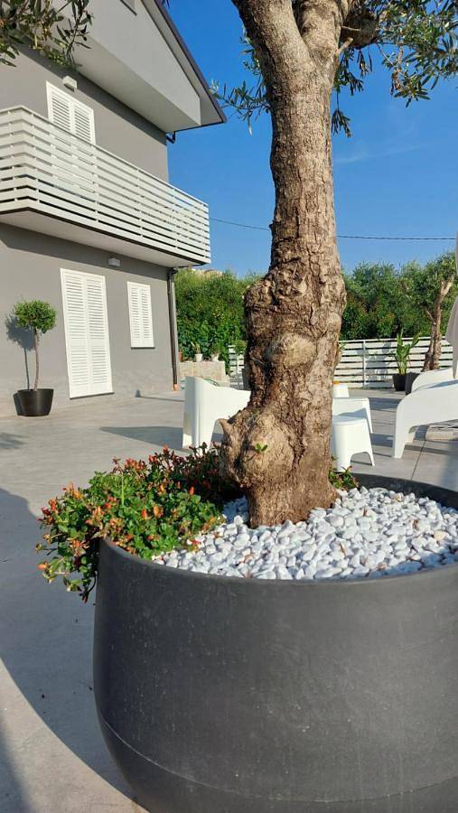 B&b per 2 persone, con Terrazza e Giardino nonché Panorama a Briatico