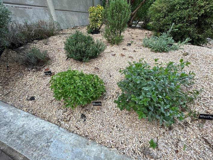 Gîte pour 4 personnes, avec terrasse à Sézanne - 4