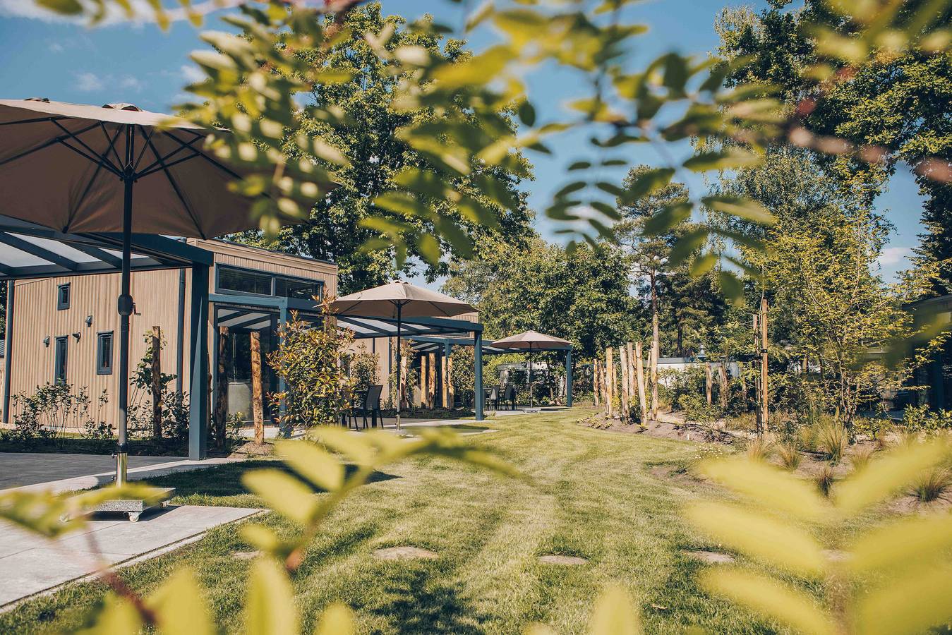 Veluwepark de Bosgraaf — Reeëndal Lodge Comfort | 4 Personen  in Veluwe