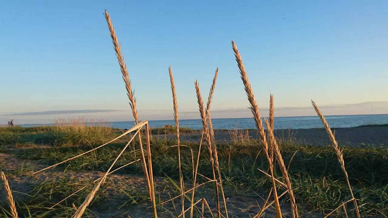 Feriehus for 4 personer med terrasse in Karrebæksminde, Enø