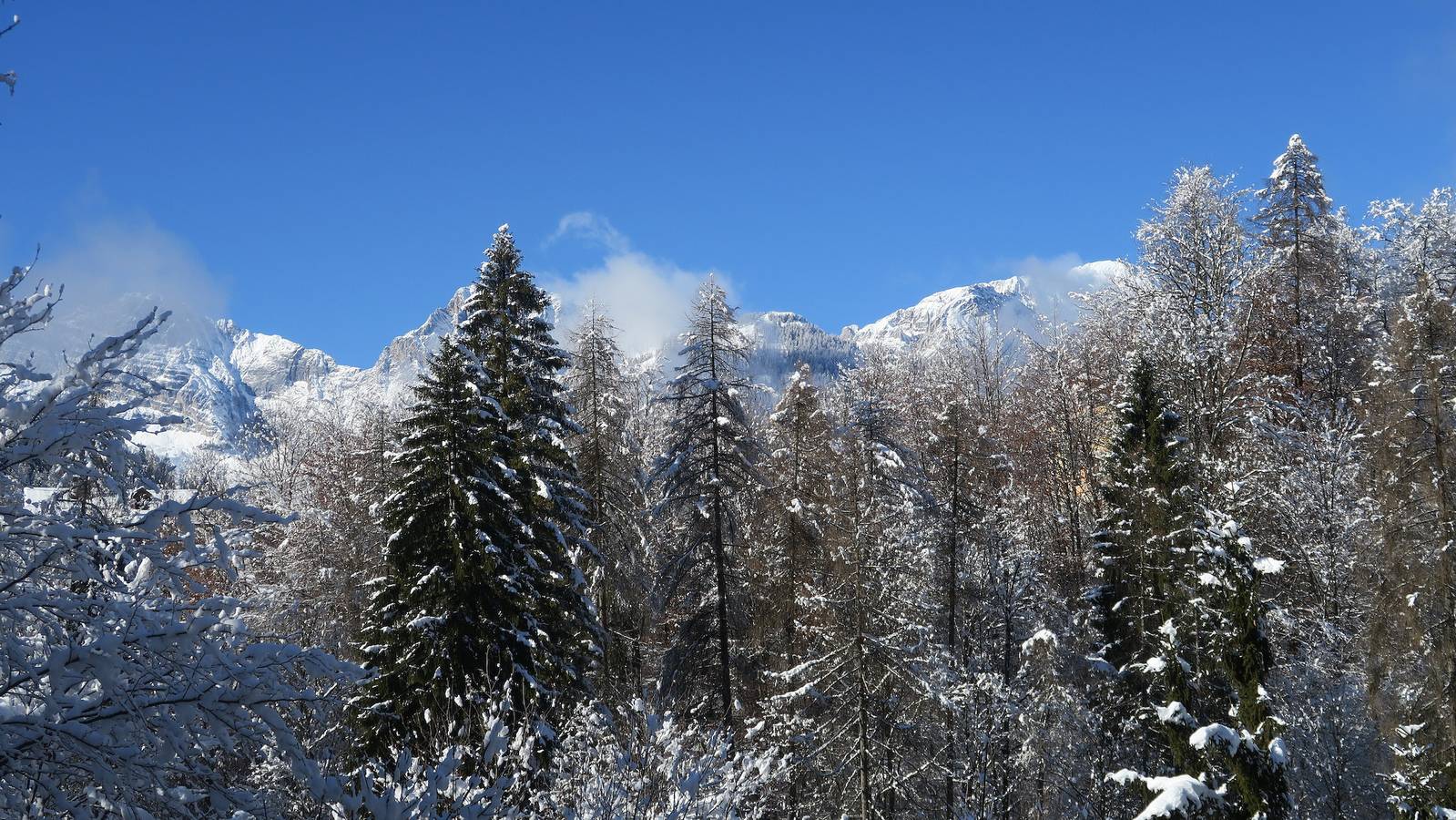 Ganze Wohnung, Ferienwohnung 'Bruna' mit Bergblick, privater Terrasse und Wi-Fi in Forno di Zoldo, Val di Zoldo