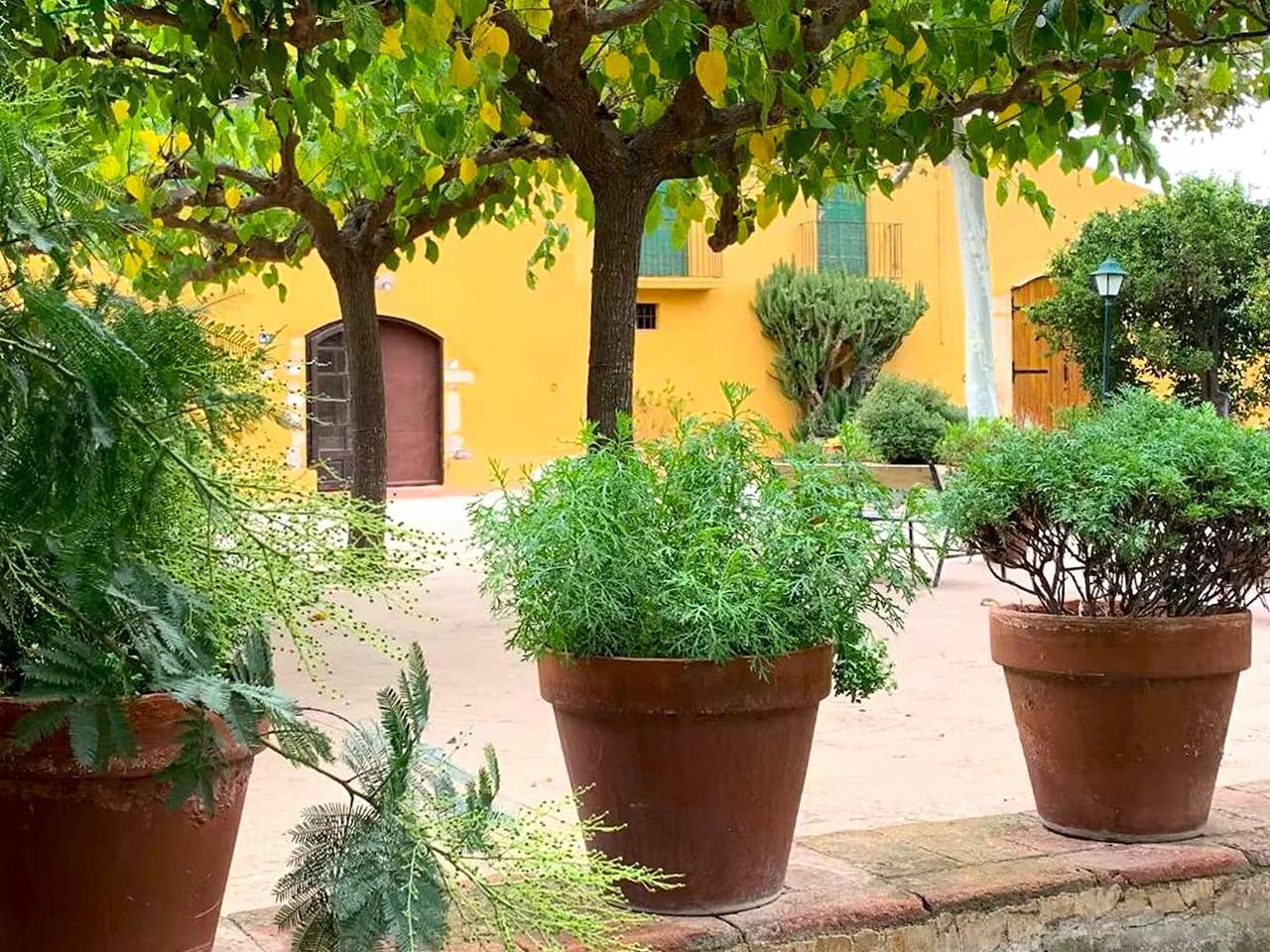 Bauernhaus nahe Gaudís Geburtsort Maspujols in Riudoms, Baix Camp