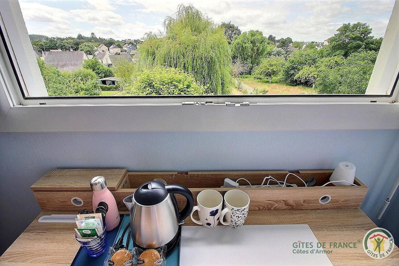 Voyages en Argoat - Ginkgo in Ploumagoar, Région de Guingamp