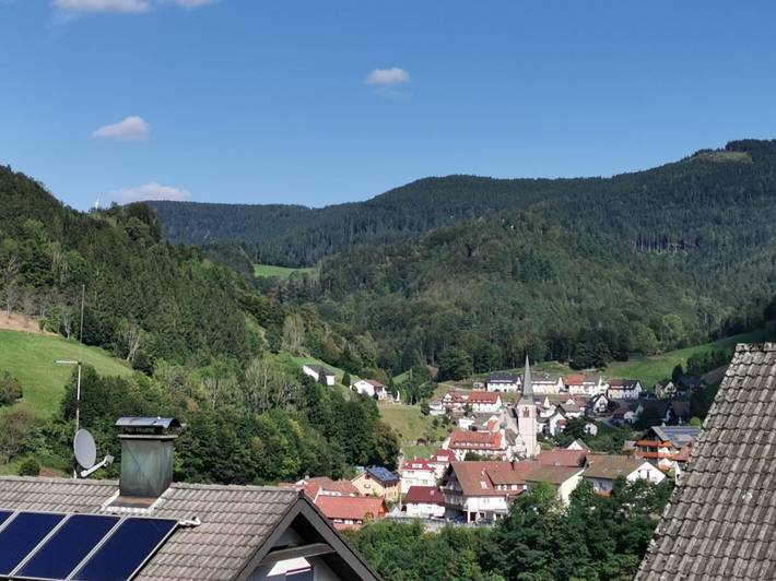 Ganzes Studio, 1-Raum-Appartement 'Hilde' mit Balkon und WLAN in Bad Griesbach im Schwarzwald, Bad Peterstal-Griesbach