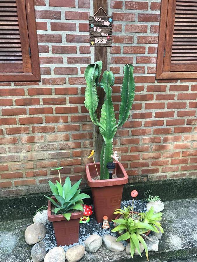 Gîte pour 2 personnes, avec jardin et vue à Resende (Brasil) - 4