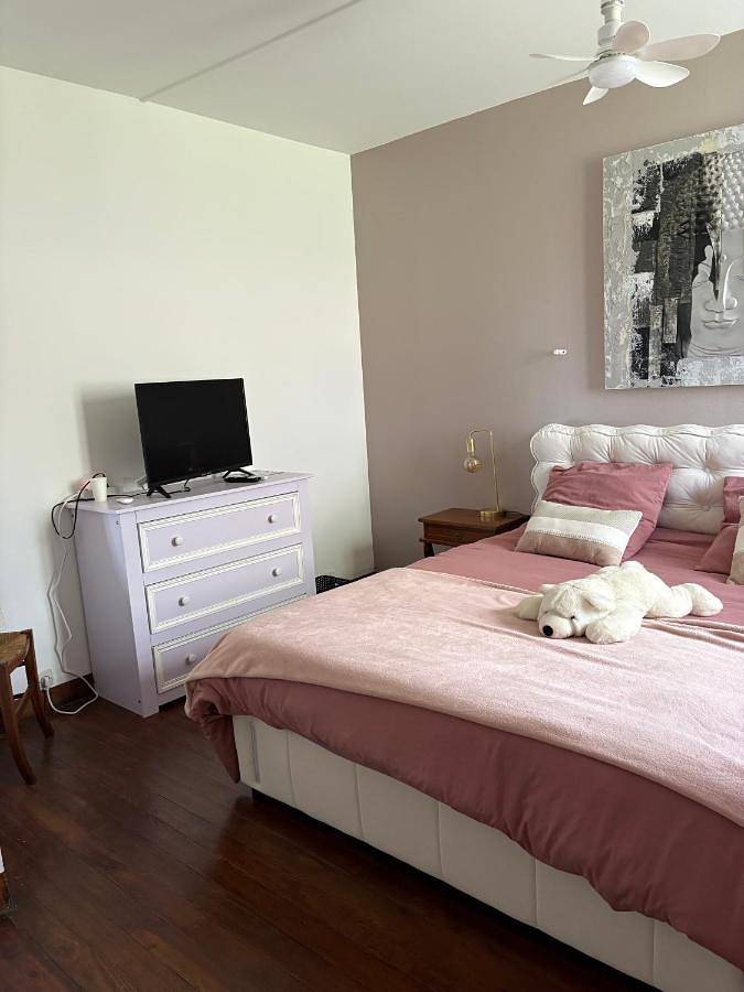 Location de vacances pour 4 personnes, avec piscine et jardin à Saint-Médard-de-Guizières - 3