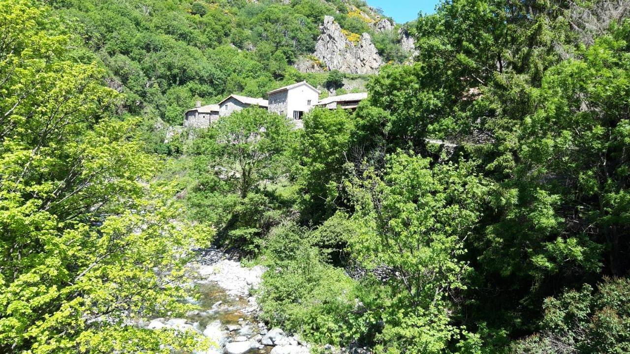 La myrtilleraie in Péreyres, Parc naturel régional des Monts d'Ardèche