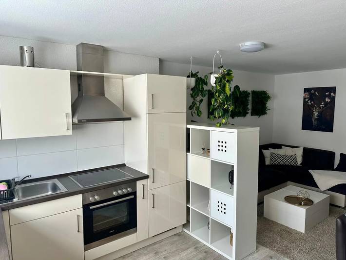 Hel lägenhet, Apartment for Relaxation in Appenweier, Central Black Forest