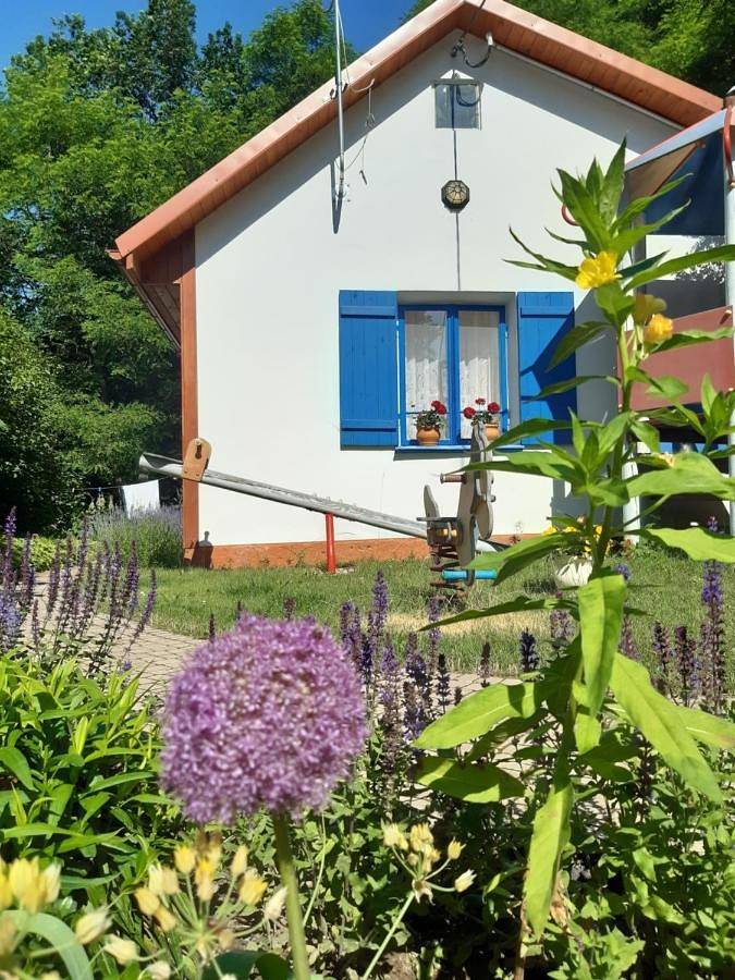 Domek nad Bugiem z Sauną in Podlasie