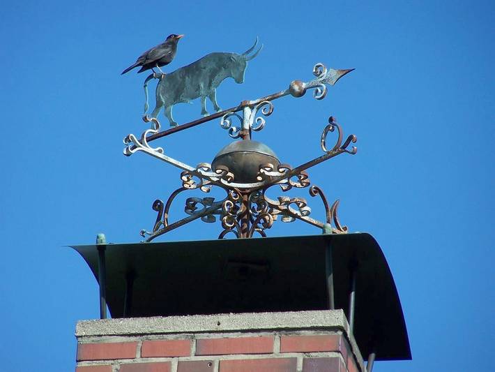 Ganze Ferienwohnung, Backbord - Friesenhaus 2 in Westerhever, Eiderstedt