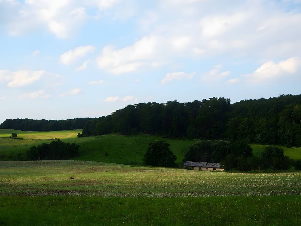 Ganze Wohnung, 'Ferienwohnung 4' mit Gemeinschaftsterrasse, Gemeinschaftsgarten und Wi-Fi in Wartburg, Gerstungen