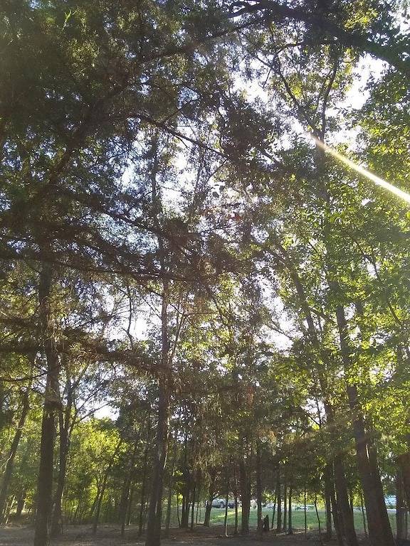 Neu renovierte Hütte im Wald mit Firepit & Murals in Canton, Van Zandt County