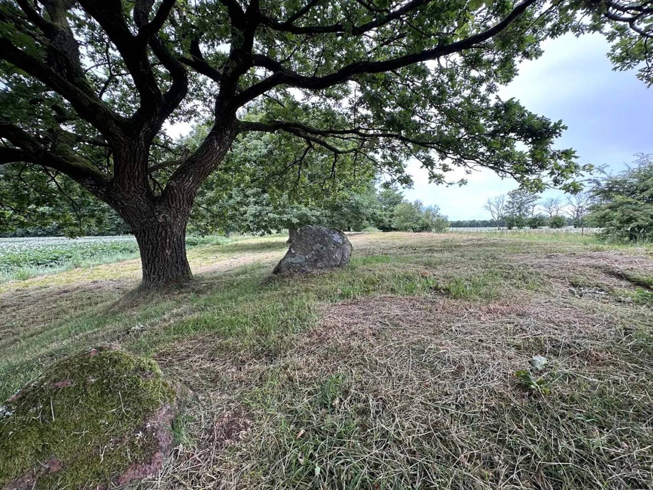 4 Personen Ferienhaus in Hovborg in Hovborg, Vejen