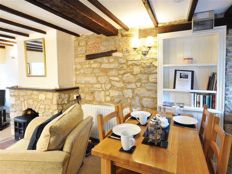 Little Ivy in Lulworth Cove, Dorset