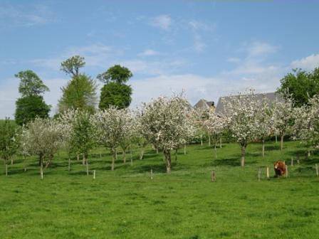 Appartement calme à la campagne in Valdallière, Région de Vire