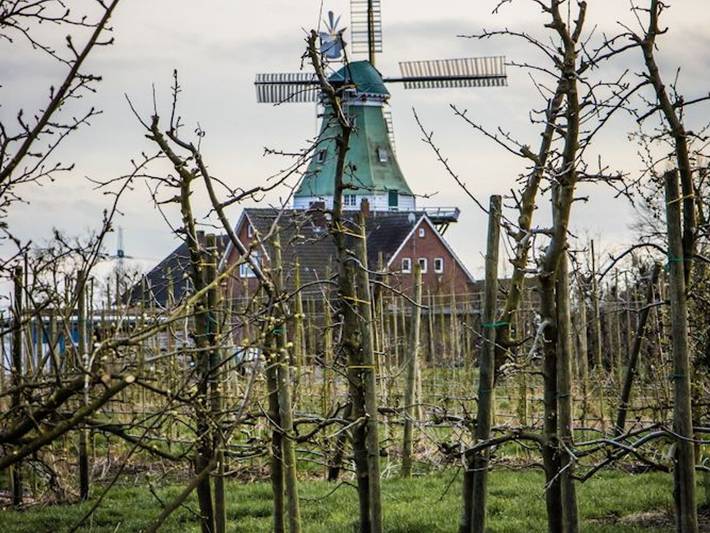 Ferienwohnung für 3 Personen, mit Garten, mit Haustier in Altes Land Stade - 2