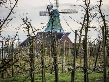 Ferienwohnung für 2 Personen in Hollern-Twielenfleth, Altes Land Stade, Bild 1