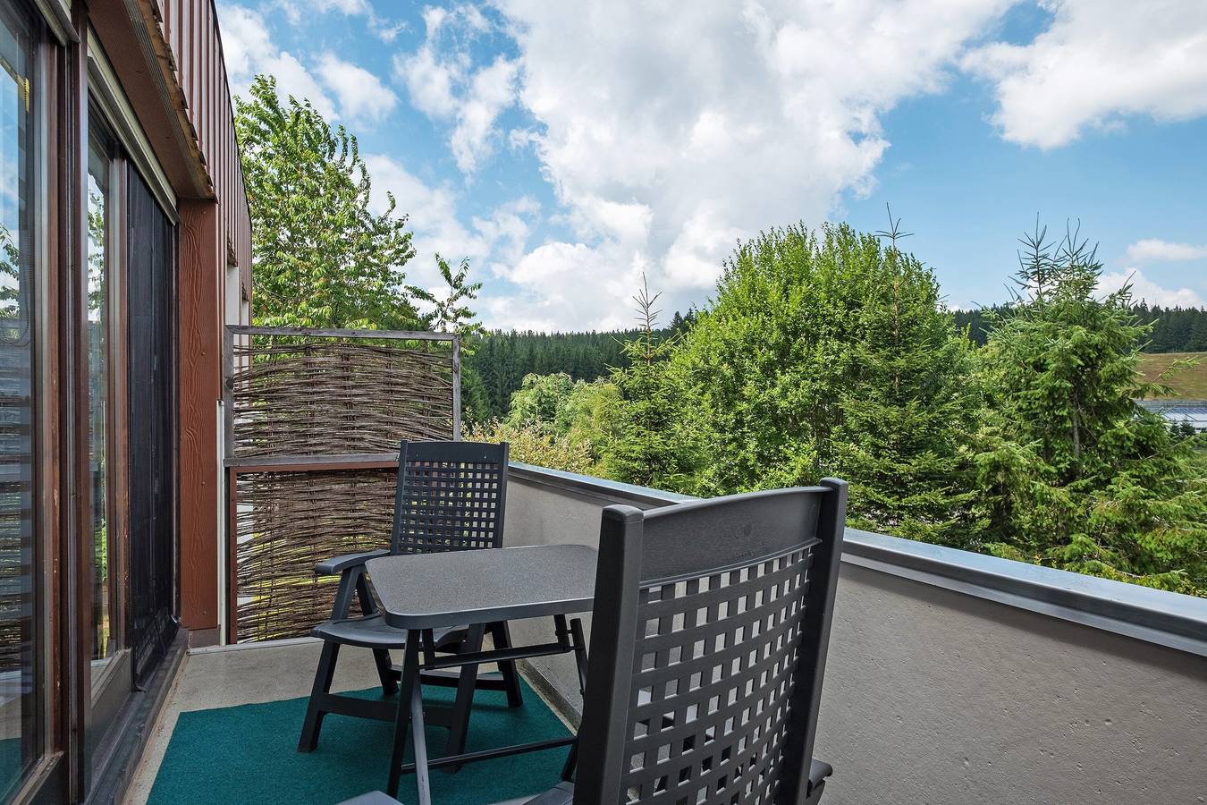 Ganze Wohnung, Ferienwohnung '5 Eichhörnchen' mit Privatterrasse, Balkon und Wi-Fi in Schönwald, Südschwarzwald