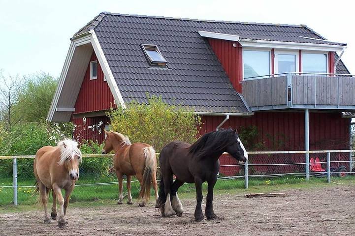 Ferienwohnung für 5 Personen, mit Garten und Balkon in Kenz-Küstrow