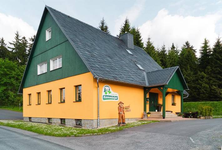 Maison d’hôte pour 3 personnes, avec sauna et terrasse à Klingenthal