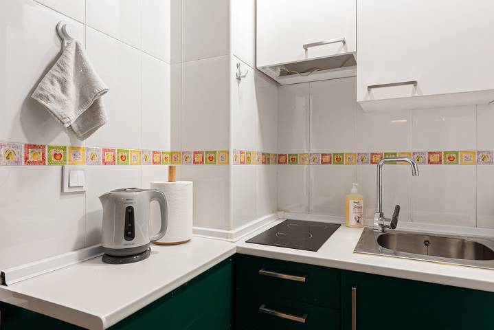 Entire apartment, Apartment 'Green Flat In City Center' with Wi-Fi and Air Conditioning in Málaga Central District, Malaga
