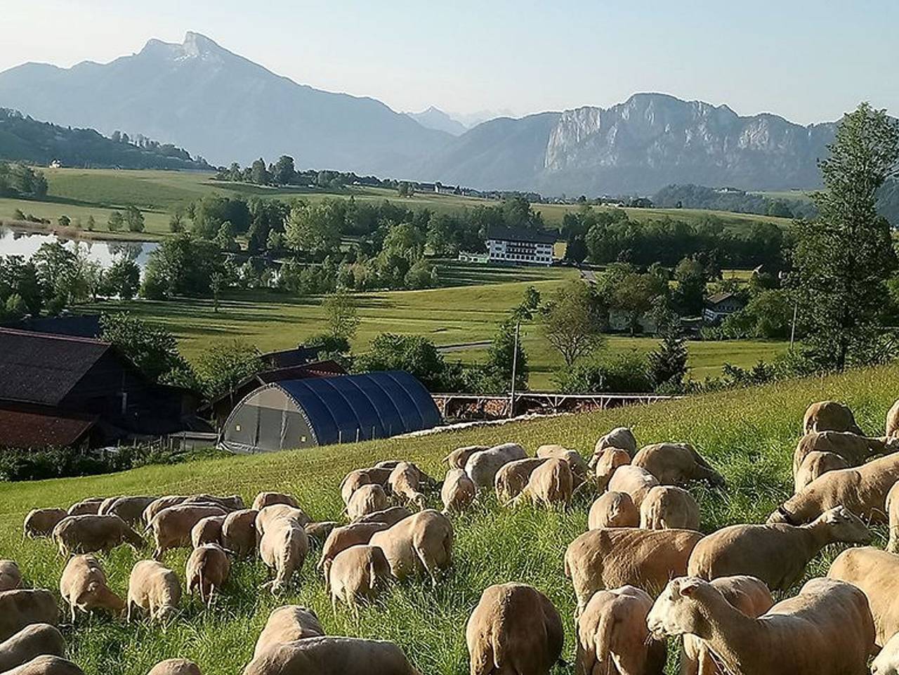 Ganze Ferienwohnung, Weberhof Nussbaumer in Irrsee