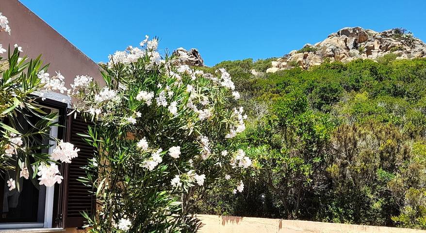 Ferienhaus für 4 Personen, mit Terrasse und Ausblick sowie Garten auf Sardinien - 3