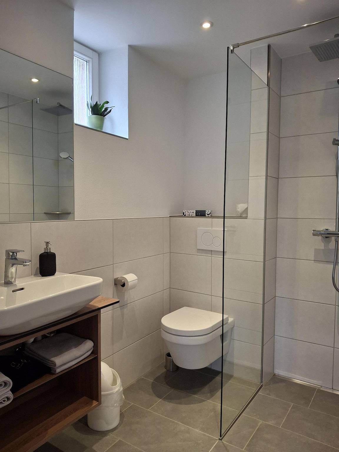 Appartement de vacances entier, Appartement, douche, Wc, 1 chambre in Ayl (Rhénanie-Palatinat), Arrondissement de Trèves-Sarrebourg