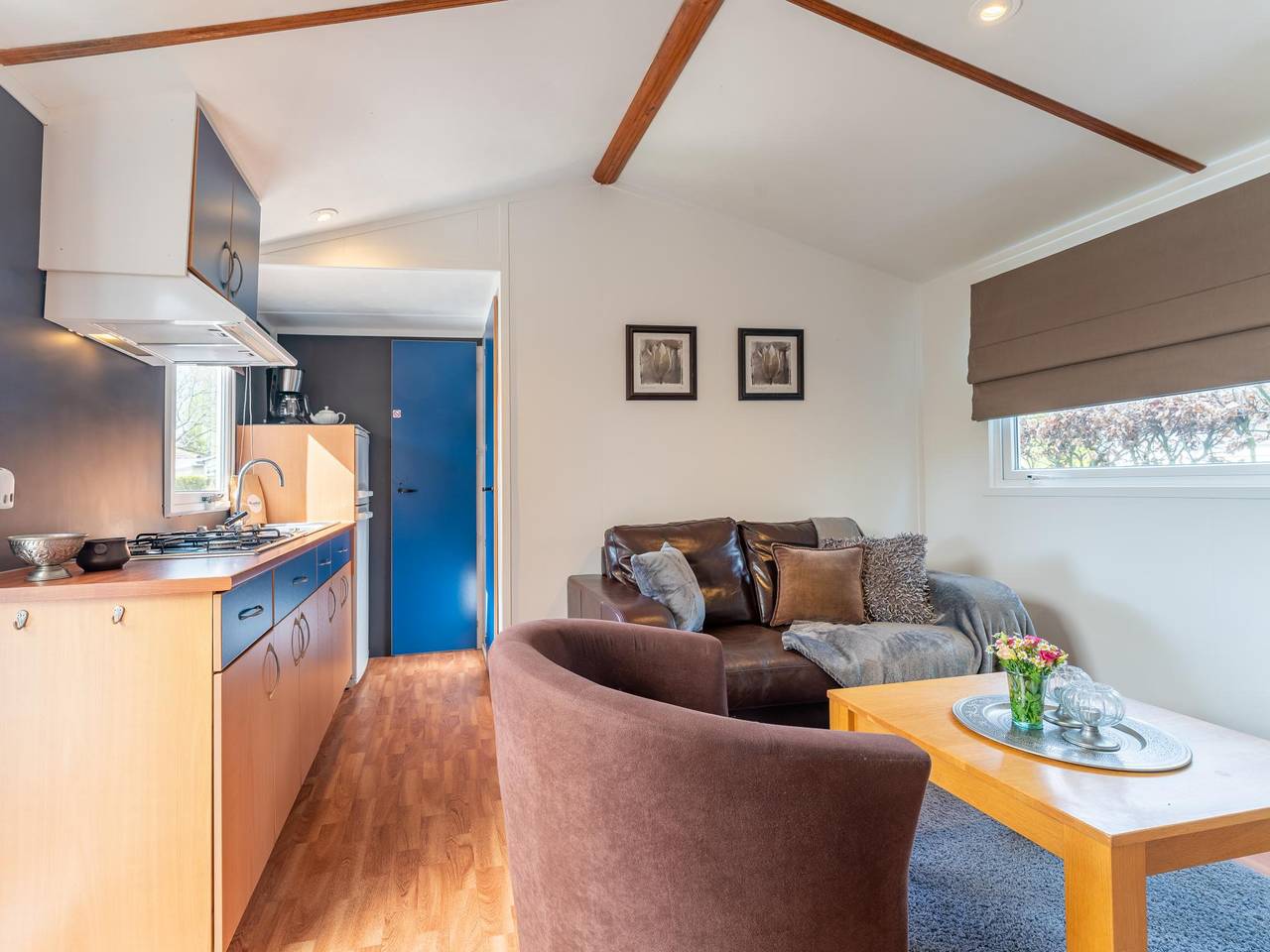 Gemütliches Chalet mit Gaskamin auf der Veluwe
 in Veluwe