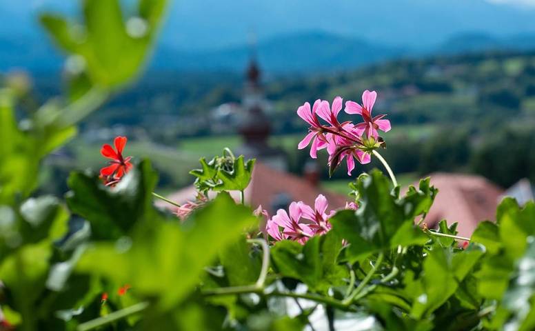 Bnb für 2 Personen, mit Balkon und Terrasse sowie Garten und Seeblick am Wörthersee - 3