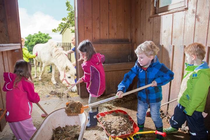 Bauernhof für 4 Personen, mit Garten im Altmühltal - 3