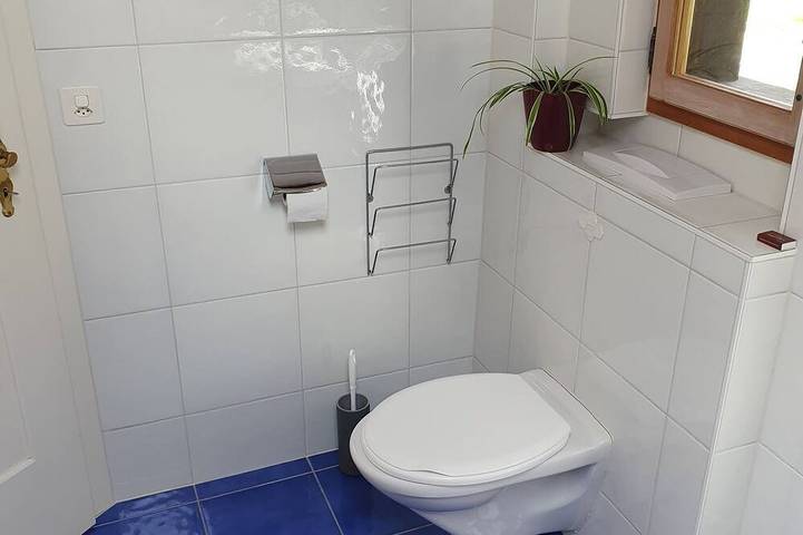 Ferienhaus für 10 Personen, mit Garten, mit Haustier in Thun - 4