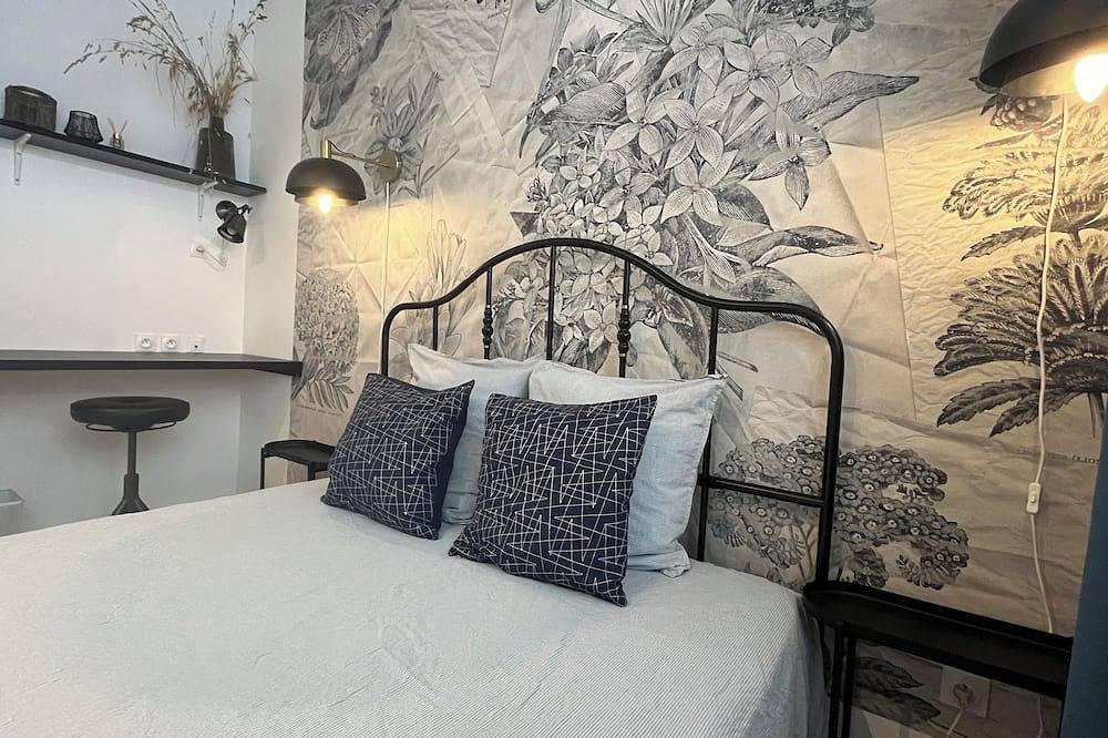 Entire apartment, Apartment overlooking the Rhône, in the 17th-century Commanderie des Antonins. in Vienne (Isère), Vienne region