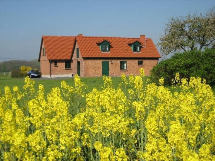 Ferienhaus für 6 Personen, mit Garten, mit Haustier in Ummanz - 3
