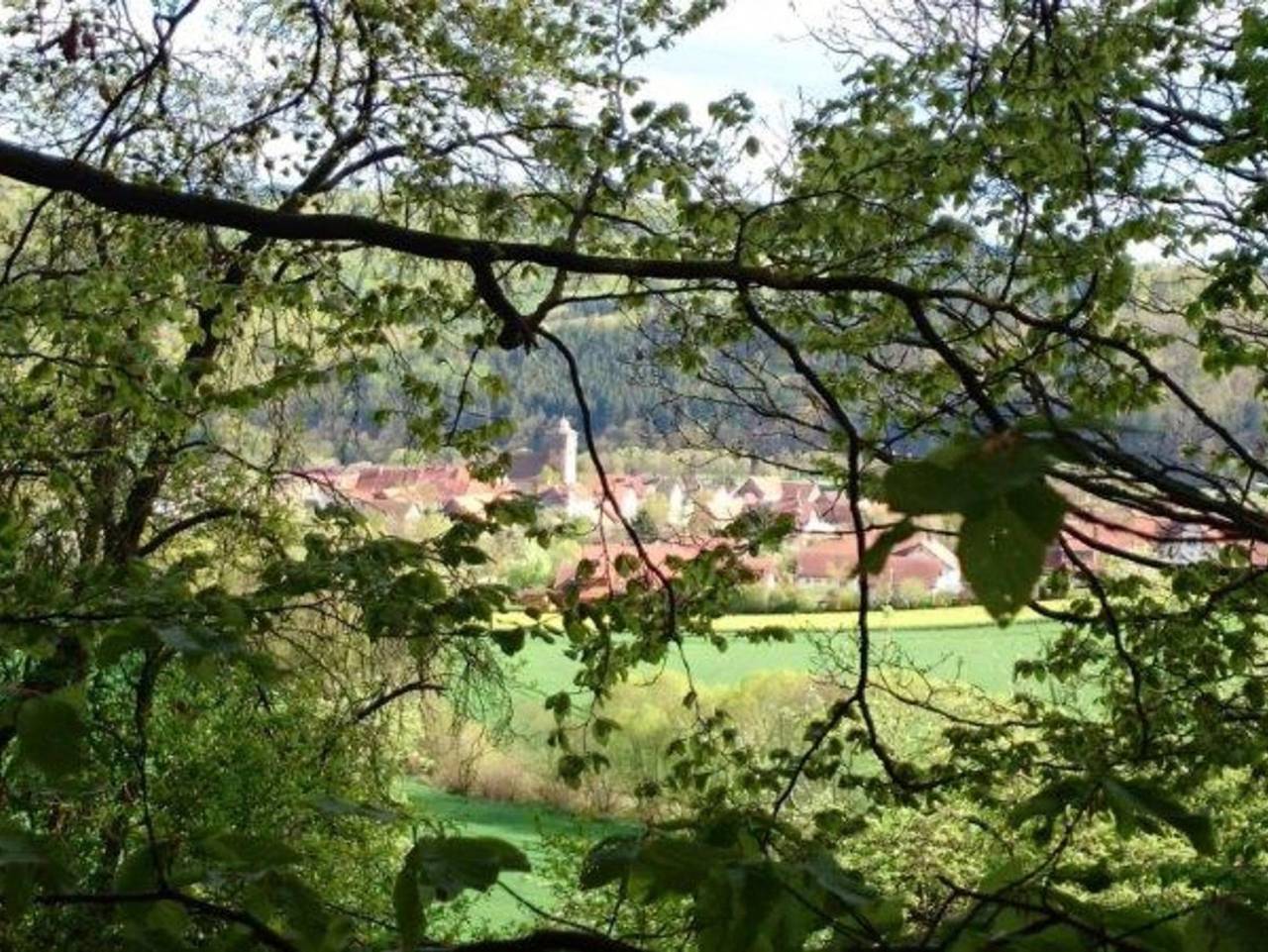 Ferienwohnungen Finnisches Blockhaus in Kleinern, Edertal