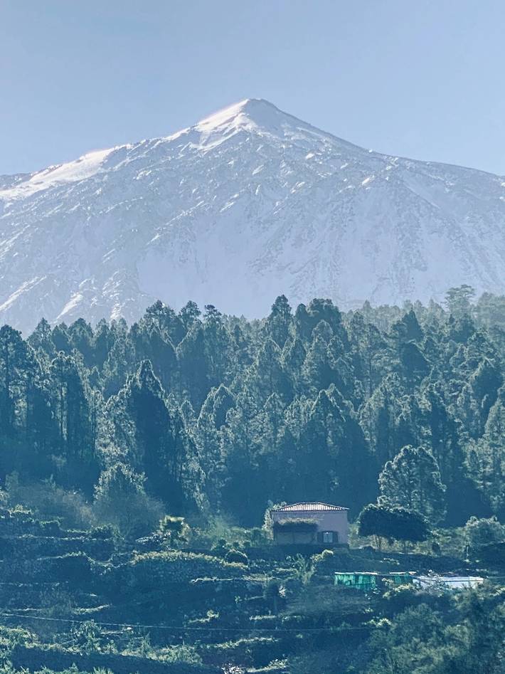 Ferienhaus für 4 Personen, mit Garten, mit Haustier auf Teneriffa Nord - 2