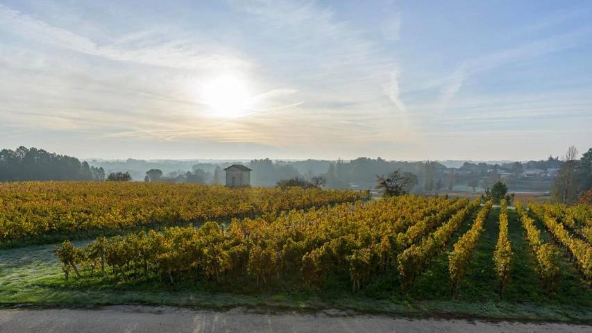 Location de vacances pour 2 personnes, avec balcon ainsi que vue et jardin à Puisseguin - 4