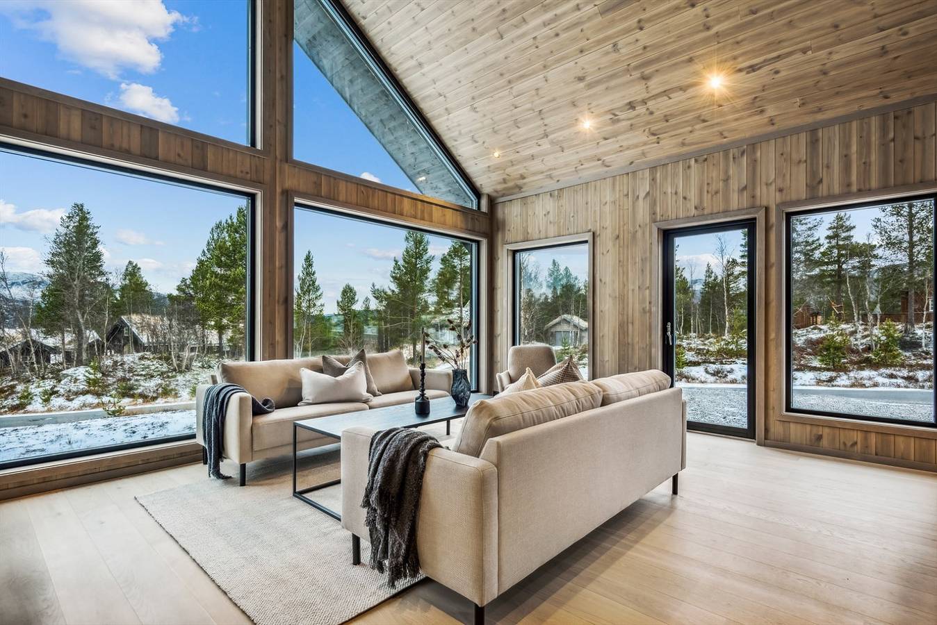 Ny hytte på Hovden med 2 bad og ski inn ut langrenn in Bykle